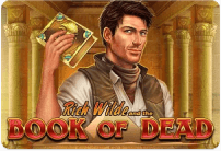 book of dead game